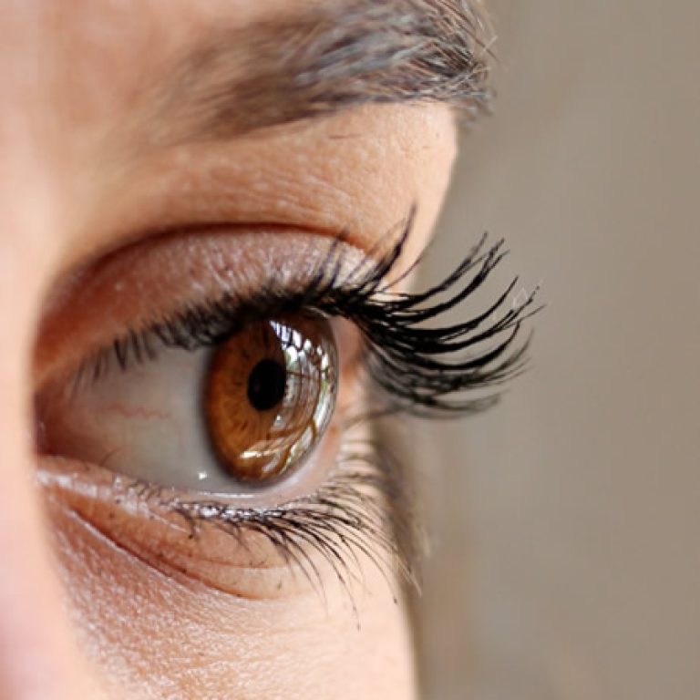 cejas pestanas madrid